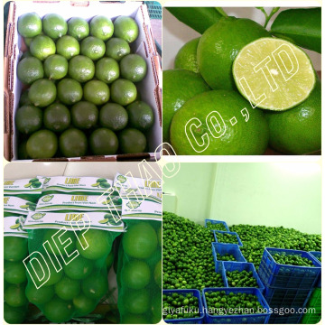 FRESH LIME SEEDLESS/DRIED KAFFIR LIME LEAVES